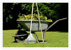 Gartenpflege